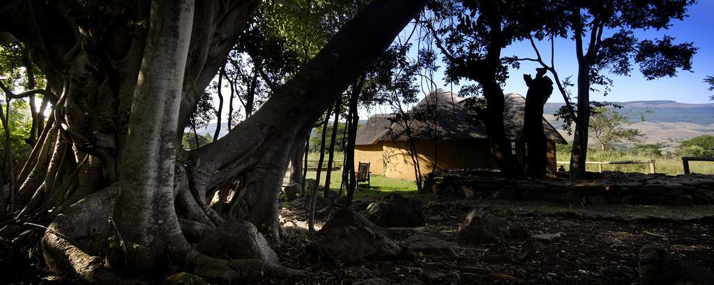 Caracal Lodge Alkmaar Стая снимка