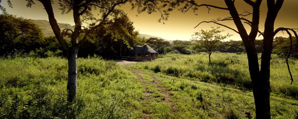 Caracal Lodge Alkmaar Стая снимка