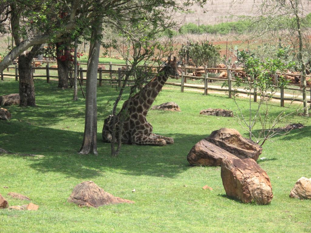 Caracal Lodge Alkmaar Екстериор снимка