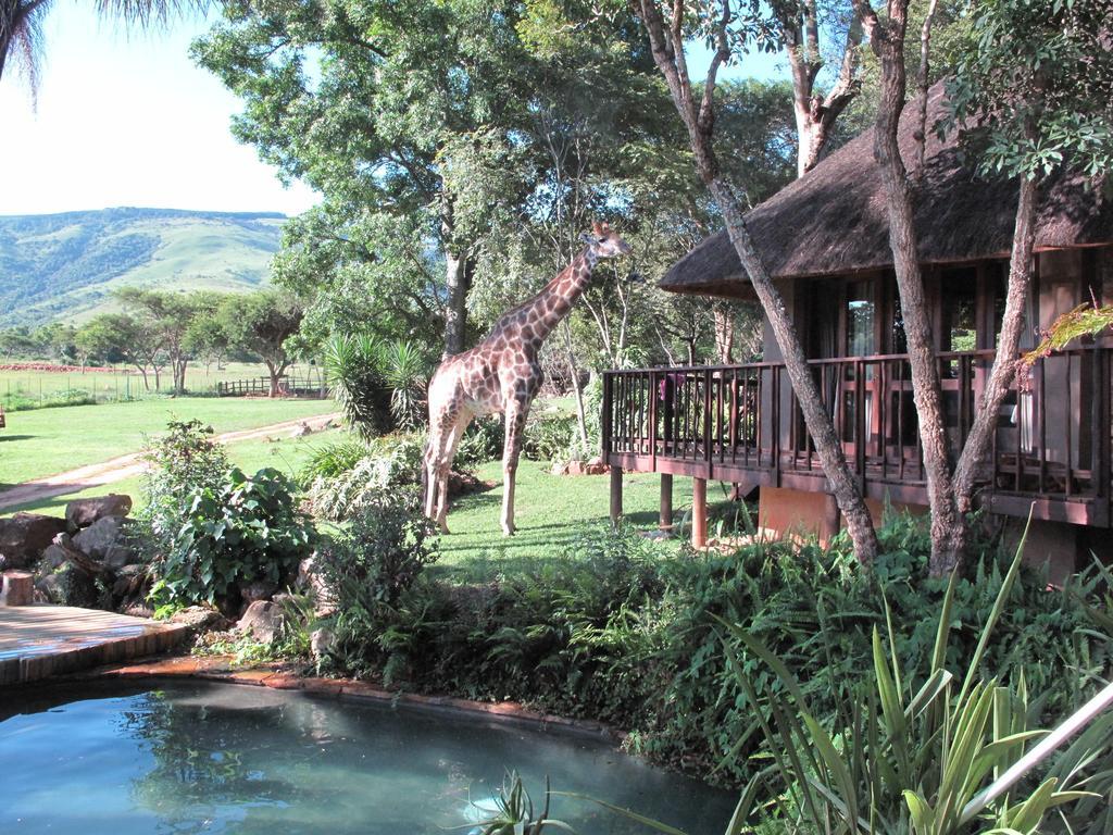 Caracal Lodge Alkmaar Екстериор снимка