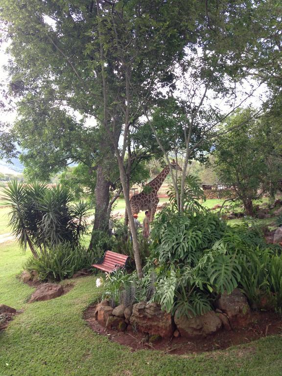 Caracal Lodge Alkmaar Екстериор снимка
